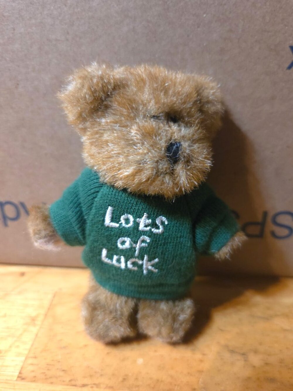 Boyds Bears Lots of Luck Mini Message Bear